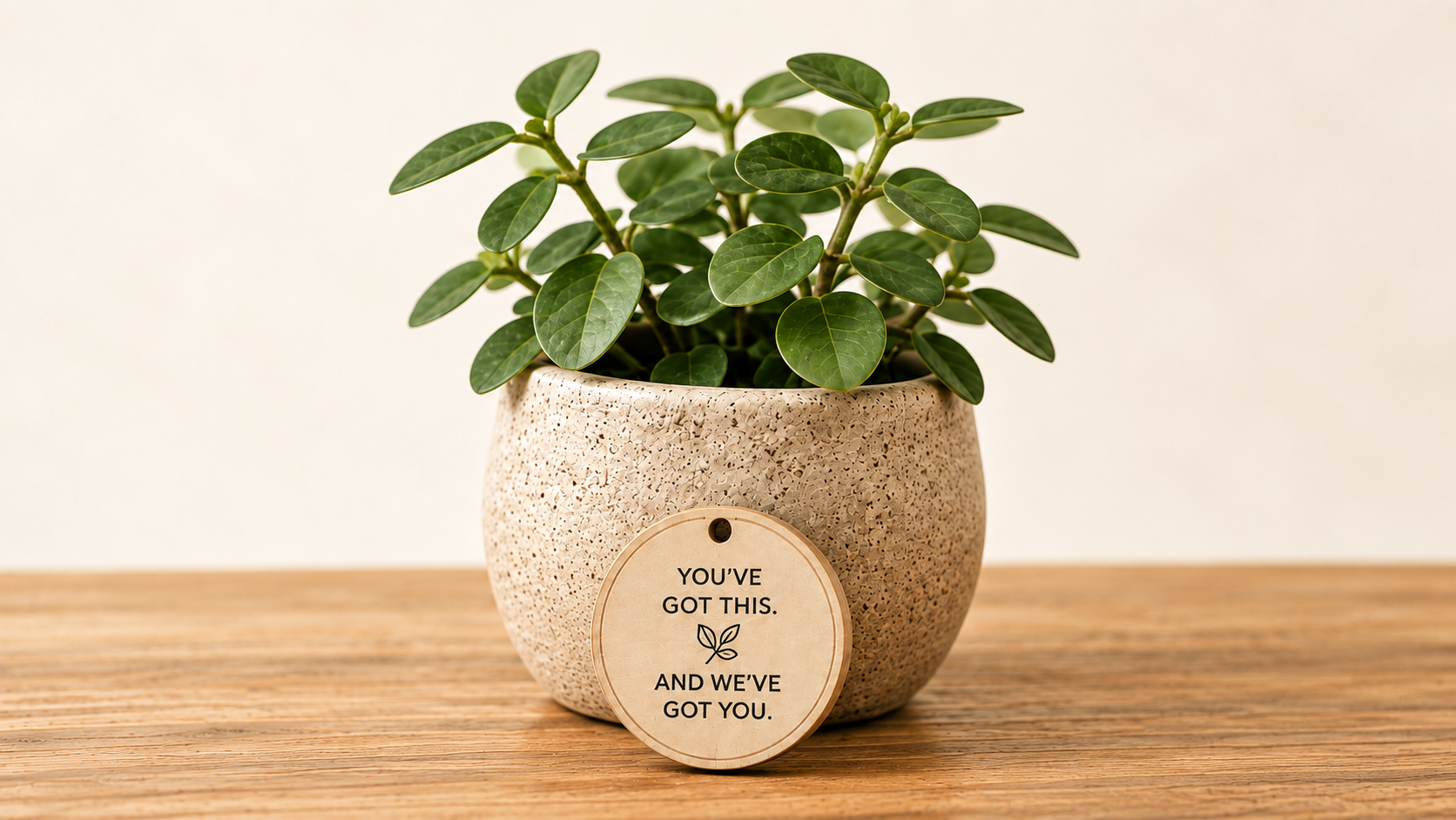 A centered leafy plant in a speckled stone pot beside a wooden chip engraved with You’ve got this. And we’ve got you.
