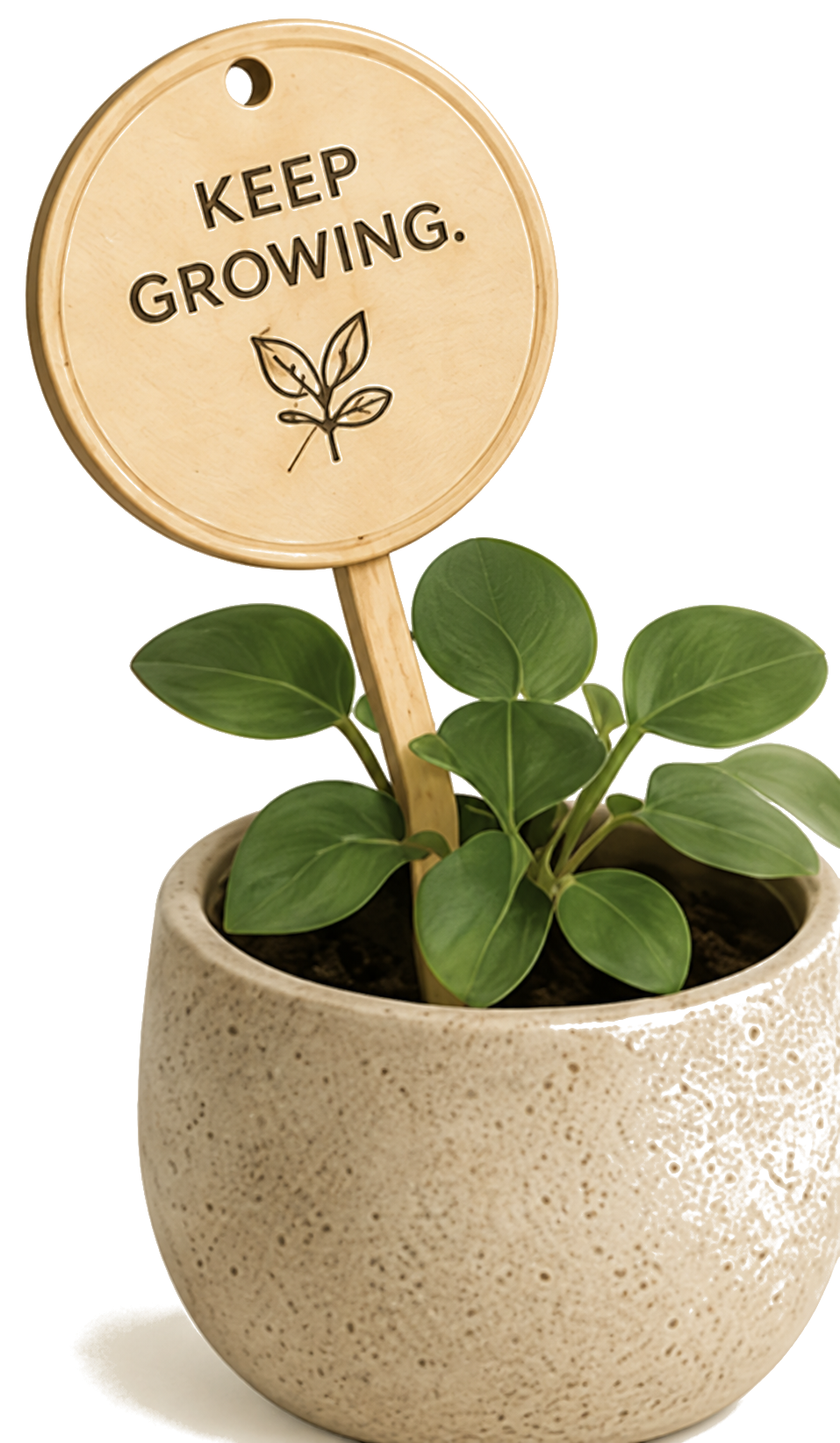 A small plant in a ceramic pot with a Keep Growing wood stake leaning to the left