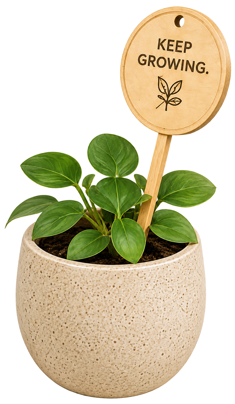 A plant with a Keep Growing stake leaning right and facing front-left